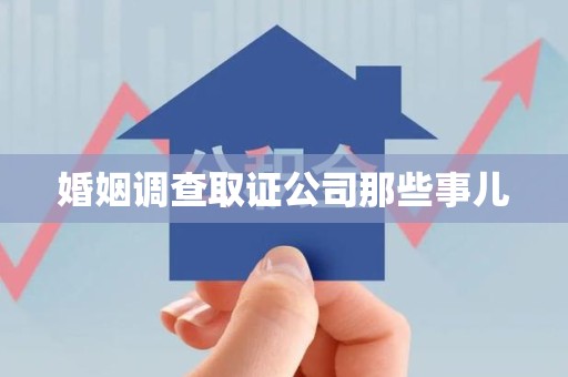 平和婚姻调查取证公司那些事儿