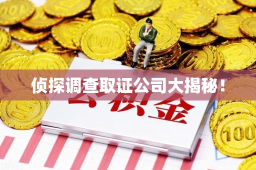 平和侦探调查取证公司大揭秘！