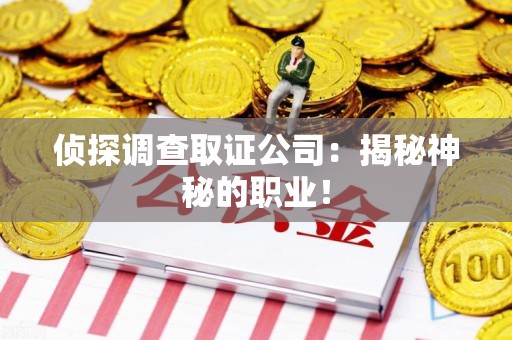 平和侦探调查取证公司：揭秘神秘的职业！