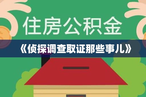 平和《侦探调查取证那些事儿》
