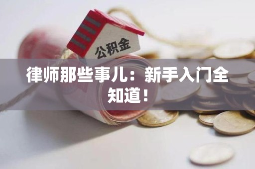 平和律师那些事儿：新手入门全知道！