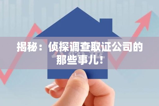 平和揭秘：侦探调查取证公司的那些事儿！