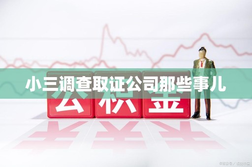 平和小三调查取证公司那些事儿
