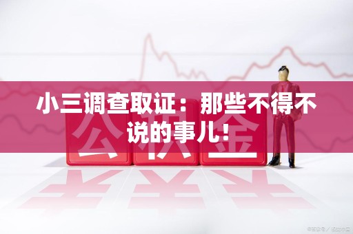平和小三调查取证：那些不得不说的事儿！