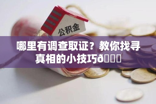 平和哪里有调查取证？教你找寻真相的小技巧😎