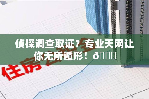 平和侦探调查取证？专业天网让你无所遁形！😎