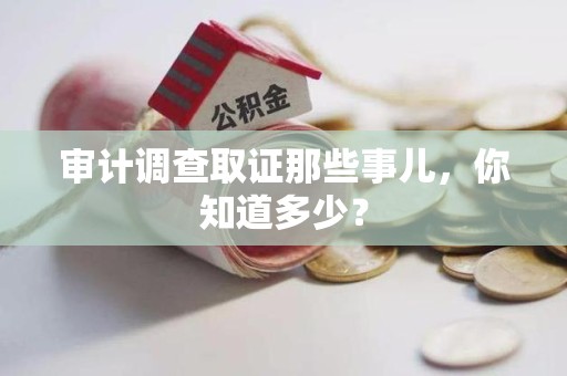 平和审计调查取证那些事儿，你知道多少？