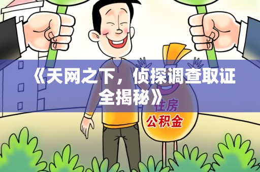 平和《天网之下，侦探调查取证全揭秘》