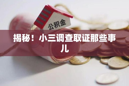 平和揭秘！小三调查取证那些事儿