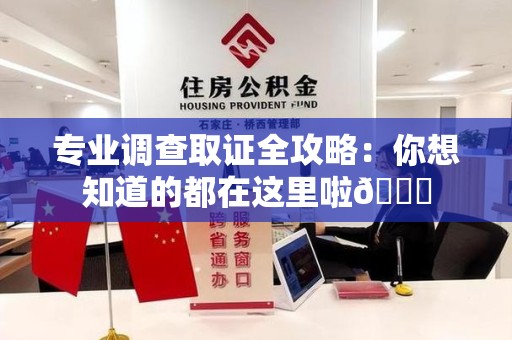 平和专业调查取证全攻略：你想知道的都在这里啦😉