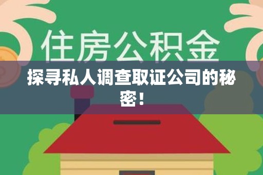 平和探寻私人调查取证公司的秘密！