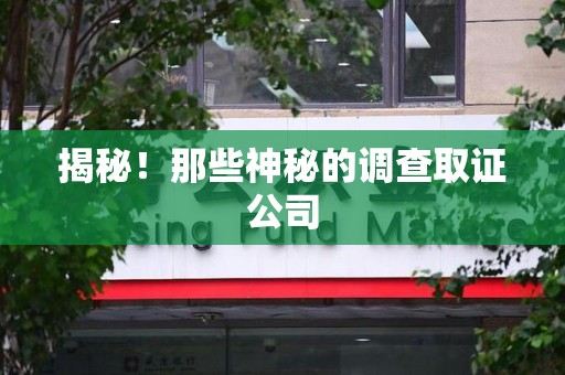 平和揭秘！那些神秘的调查取证公司