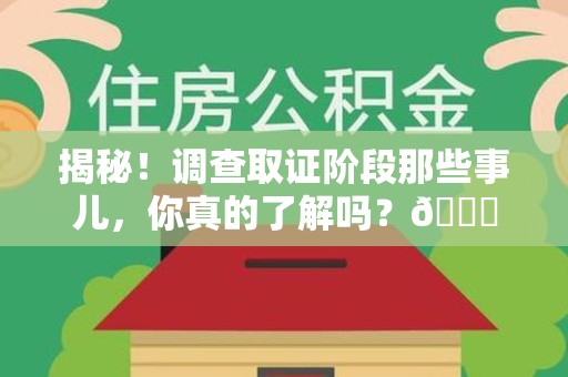 平和揭秘！调查取证阶段那些事儿，你真的了解吗？😎