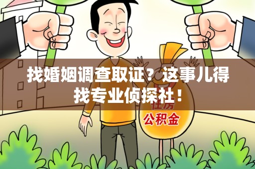 平和找婚姻调查取证？这事儿得找专业侦探社！