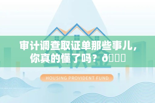 平和审计调查取证单那些事儿，你真的懂了吗？😎