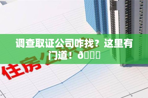 平和调查取证公司咋找？这里有门道！😎