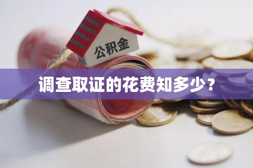 平和调查取证的花费知多少？